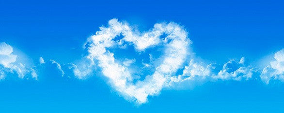 Social Enterprise: Creating Employment Opportunities for People with Disabilities