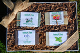 Organic Soap Bar Package